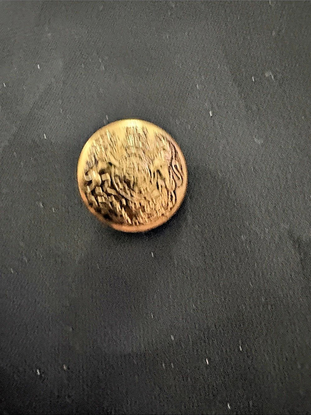 Brass-Gold-Tone Crest Button